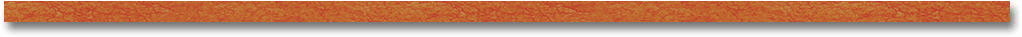 Textured Orange Divider Image